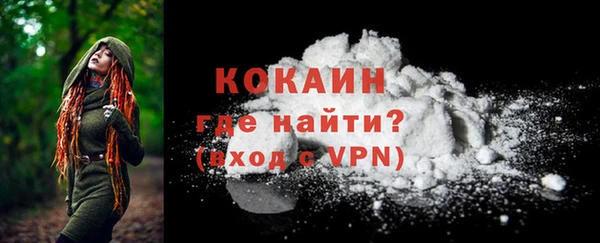 spice Краснослободск