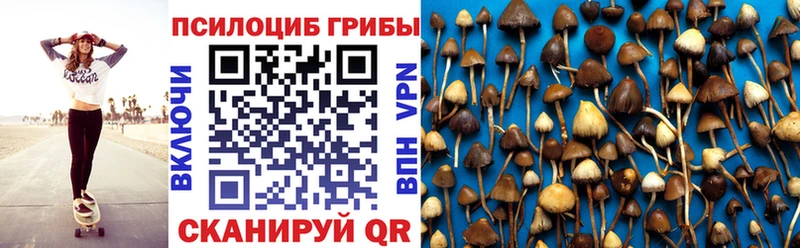 Псилоцибиновые грибы Psilocybine cubensis  блэк спрут онион  Кемерово 