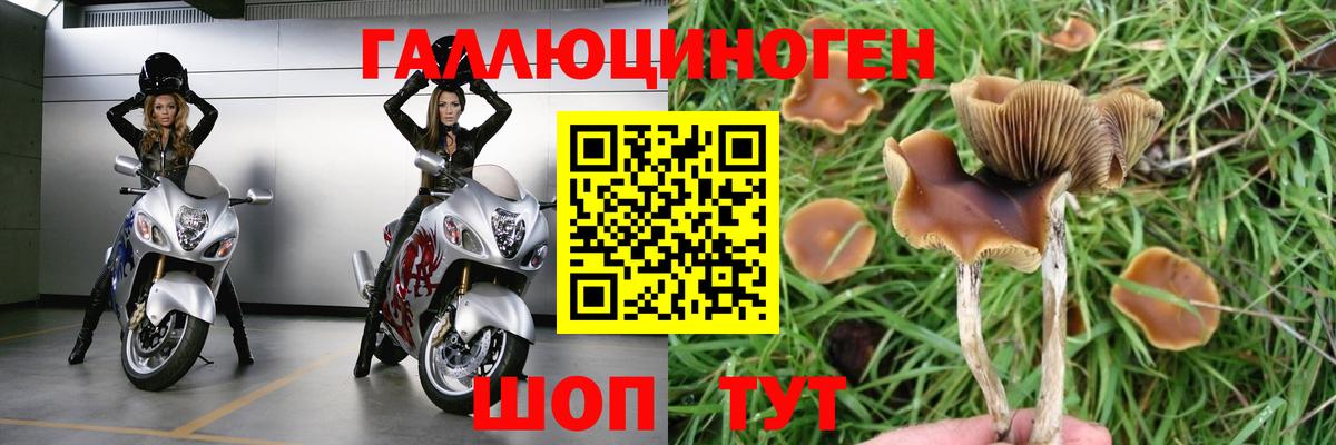 Псилоцибиновые грибы прущие грибы Кемерово